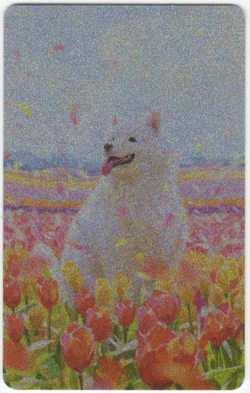 1x Sparkly Dog Token by Johannes Voss MTG Near Mint - Image 2