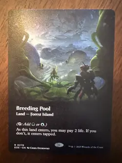 Breeding Pool : MTG *Borderless* Edge Of Eternities #0278 / NM - Image 1