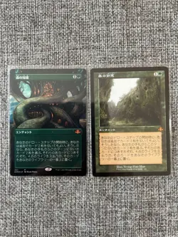 MTG Foil Borderless Sylvan Library DMR BF old frame non foil 2 card set - Image 1