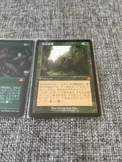 MTG Foil Borderless Sylvan Library DMR BF old frame non foil 2 card set - Image 3