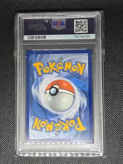 Skwovet 222/198 SV1 en Holo Trading Card Pokemon Scarlet Violet 2023 Psa 8 - Image 2