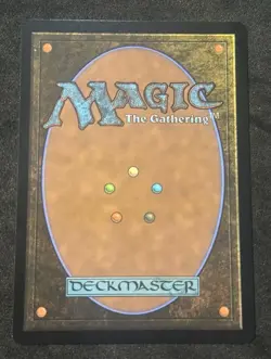 MTG - Floodfarm Verge - 330 Borderless Rare - Magic: The Gathering Duskmourn NM - Image 2
