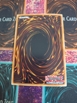 Yugioh Amazoness Baby Tiger LEDU-EN009 Ultra Rare 1st Edition Near Mint - Image 3