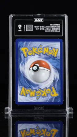 Greninja ex 132 TAG 9 Scarlet & Violet Promo Black Star Pokemon Card - Image 3