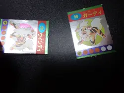 Pokemon Magazine Promo Ginpika Himitsu Mini Card x2 Arcanine Evolutions #5361 - Image 5
