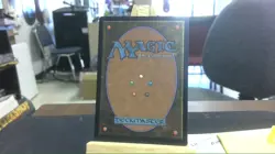 misty rainforest secret lair mtg - Image 2