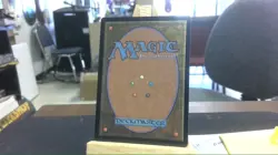 expropriate special guest mtg - Image 4