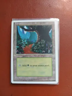 MAGIC THE GATHERING 4th EDITION FOREST LAND NM X 9 CARDS LOT MTG (B).NMINT - Image 1