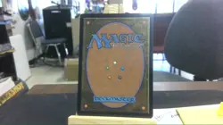 mirari's wake mtg - Image 2