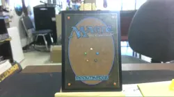enduring vitality showcase foil mtg - Image 2