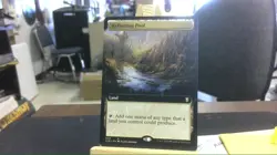 reflecting pool extended mtg - Image 1