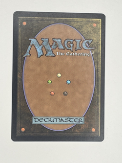 1x Windswept Heath,KTK, Magic: the Gathering, MtG NM - Image 2