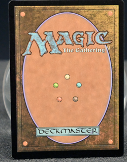 🌿 Lair of the Hydra #259 | Foil | AFR | NM | Magic The Gathering Land MTG 🌿 - Image 2