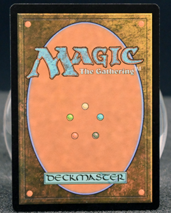 🔥 Hobgoblin Bandit Lord | Borderless Extended Art | AFR | MTG Rare NM 🔥 - Image 2