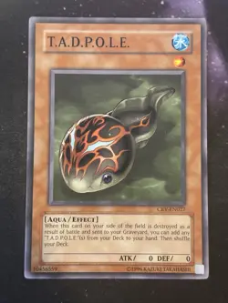 Yugioh! T.A.D.P.O.L.E. CRV-EN027 Common Unlimited - LP - Image 1