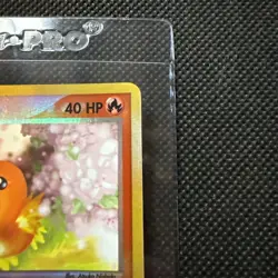 Torchic Reverse Holo Foil Promo 008 Black Star Promo Pokemon Card TCG 2003  - Image 3