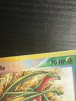 Pokemon TCG Grovyle 31/109 Ruby and Sapphire Reverse Holo Nintendo 2003 HP - Image 7