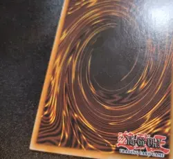 Harpie's Feather Duster SDBT-EN026 Common Beware of Traptrix Yugioh Card LP - Image 4