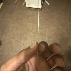 Sword of Feast and Famine - Near Mint MTG The List - Image 2