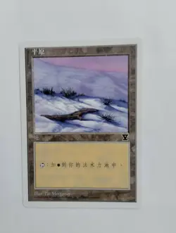 1 x MTG S-Chinese 5E Basic Land Plains (B)---N/M - Image 1
