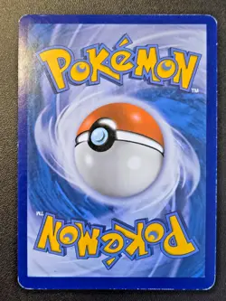 M Gengar EX XY166 - XY Promos - Promo Pokemon Card - MP - Image 8