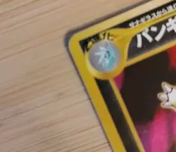 Dark Houndroom Holo card  Pockemon/Pocketmonster  #  248 Crossing the Ruins  - Image 3