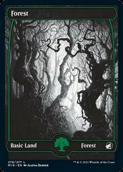Forest (276) -Foil Light Play MTG Innistrad: Midnight Hunt - Image 1