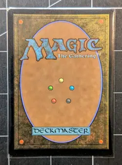 Shifting Woodland - Borderless Foil - Modern Horizons 3 - Magic - MTG - Image 2
