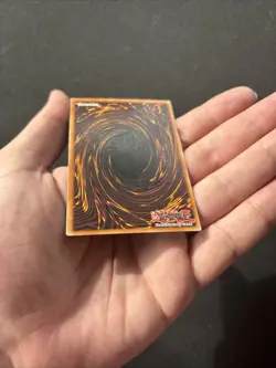 Dark Paladin (1st Edition Artwork) MFC-105 Magician's Force YuGiOh - MP - Image 5