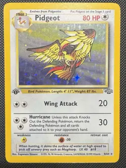 Pidgeot 8 /64 Jungle Holo 1st Edition Vintage Pokemon - Image 1
