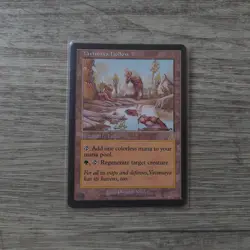 Yavimaya Hollow Urza's Destiny MTG Magic the Gathering NM - Image 1