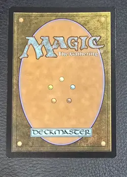 Fury (Borderless) Special Guests Foil MTG NM Magic Card - Image 2
