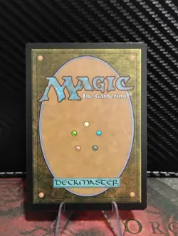 MTG Brotherhood Regalia 0071 Universes Beyond Assassin's Creed Regular Finish  - Image 2