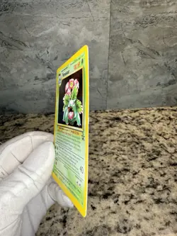 Pokemon Venusaur Holo Card 13/53 WOTC Promo - Image 4