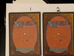 MTG Magic the Gathering Lake of the Dead x 2 Alliances LP Card - Image 3