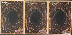 Eidos the Underworld Squire BROL-EN077 Brothers of Legend 1st (x3) - Yugioh Card - Image 2