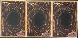 Eidos the Underworld Squire BROL-EN077 Brothers of Legend 1st (x3) - Yugioh Card - Image 4