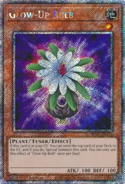Glow-Up Bulb - RA03-EN245 - Platinum Secret Rare - 1st Edition NM YuGiOh!  Quart - Image 1