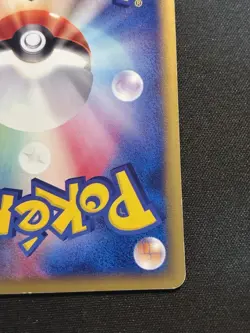 Zapdos - 024/P 024/P P Promotional Cards Regular (Japanese) - Image 10