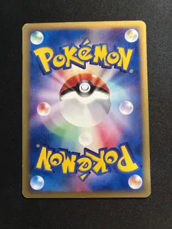 Zapdos - 024/P 024/P P Promotional Cards Regular (Japanese) - Image 13