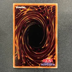 NM 3 card Blue Eyes Toon Dragon PGB1-JP020 Millennium Rare YuGiOh 300 - Image 7