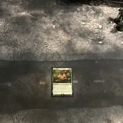 Asceticism 0233 Non Foil Rare LOTR Commander MTG Near Mint - Image 1