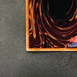 NM Dark Magician Girl CCC2-JP001 Normal Parallel Rare Coco's x YuGiOh 980 - Image 9