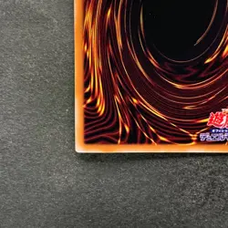 NM Stardust Dragon CCC1-JP003 Normal Parallel Rare YuGiOh 310 - Image 9