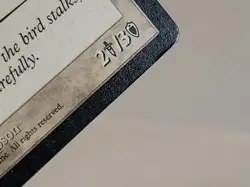 MTG Spotted Griffin Portal Regular Common Magic - Image 6