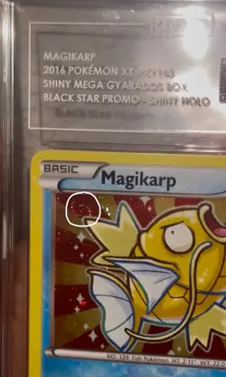 TAG 9 MINT Magikarp Pokemon 2016 Shiny Black Star Promo XY143 Rare Swirl PrintðŸŒ€ - Image 3