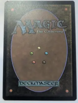 Coat of Arms Foil MTG Secret Lair Drop Series Julie Bell English NM-Mint - Image 2