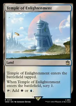 Near Mint, English - 2 x MTG Temple of Enlightenment - Foil Universes Beyond: Do - Image 2