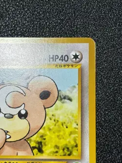 LP Neo Teddiursa No.216 Intro Pack old Back Chikorita Deck Japanese Pokemon Card - Image 3