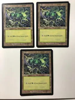 3x Forest (Same Artwork) LP-MP 1998 Urza's Saga Magic Cards, FREE SHIPPING - Image 1